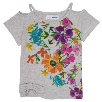 Odjeća Djevojčica Majice kratkih rukava Desigual EDIMBURGO Multicolour