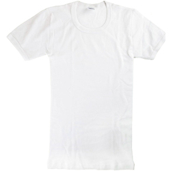 Odjeća Dječak
 Majice kratkih rukava Abanderado 0302-BLANCO Bijela