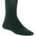 Donje rublje Djevojčica Najlonke i samostojeće čarape Vignoni 85196-V-BOTELLA Zelena