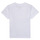 Odjeća Dječak
 Majice kratkih rukava Timberland ANTONIN Bijela