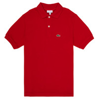 Odjeća Dječak
 Polo majice kratkih rukava Lacoste LOLLA Red