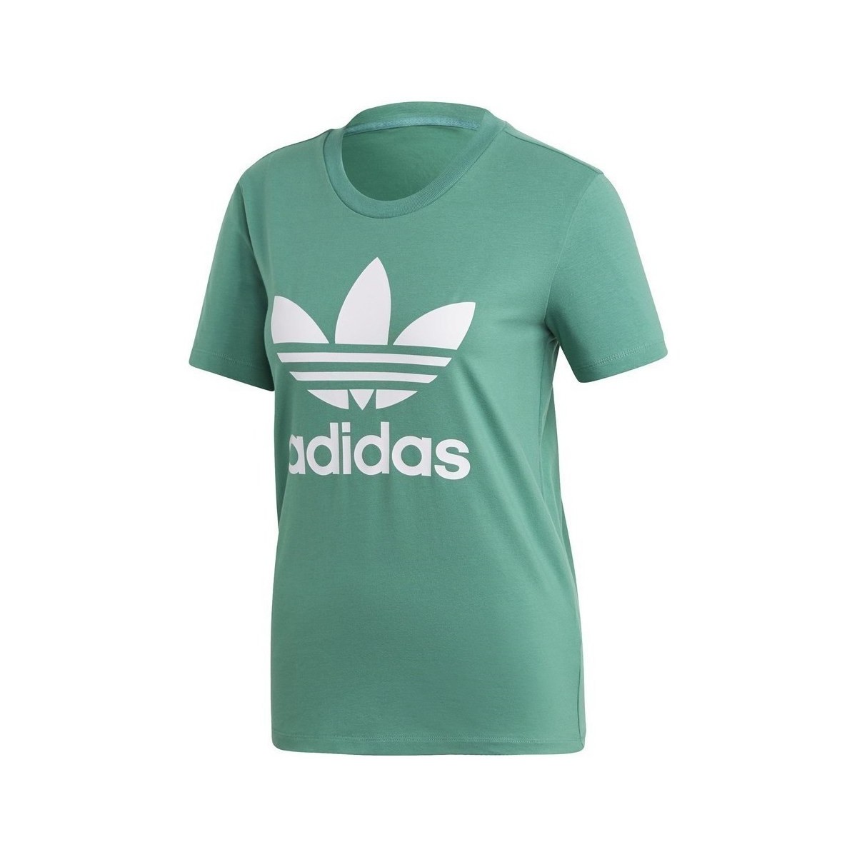 Odjeća Žene
 Majice kratkih rukava adidas Originals Trefoil Tee Zelena