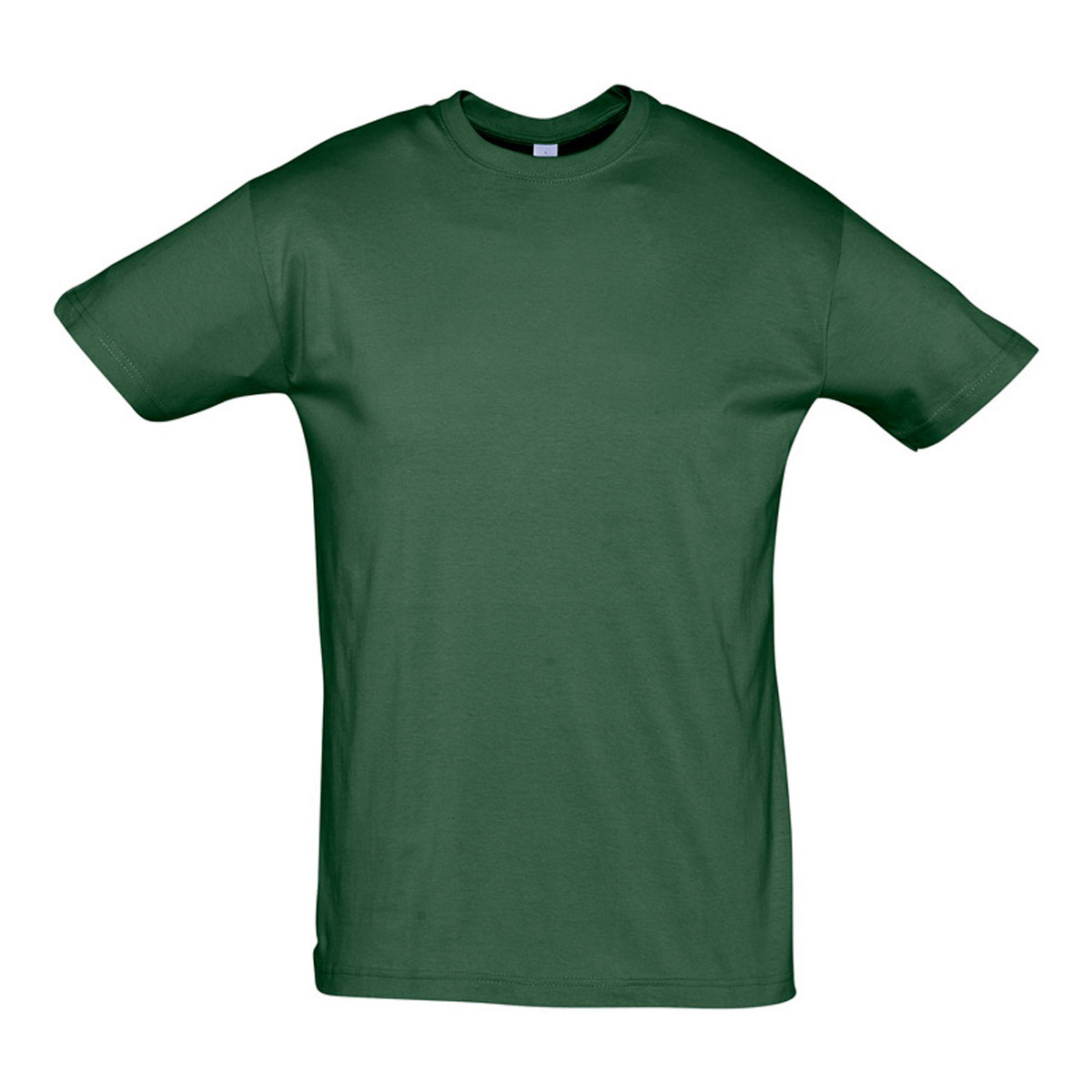 Odjeća Majice kratkih rukava Sols REGENT COLORS MEN Zelena