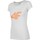 Odjeća Žene
 Majice kratkih rukava 4F TSD005 Siva