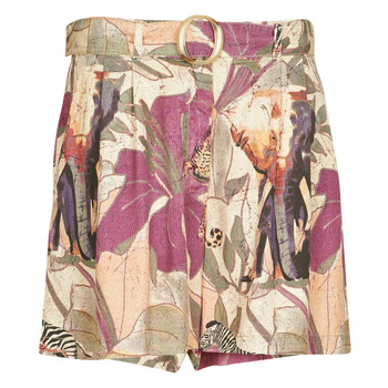 Odjeća Žene
 Bermude i kratke hlače Desigual ETNICAN Multicolour
