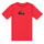 Odjeća Dječak
 Majice kratkih rukava Quiksilver COMP LOGO Crvena