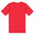 Odjeća Dječak
 Majice kratkih rukava Quiksilver COMP LOGO Crvena