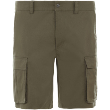 Odjeća Muškarci
 Bermude i kratke hlače The North Face NF0A4CAL7D61 Zelena
