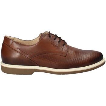 Obuća Muškarci
 Derby cipele IgI&CO 1107622 Smeđa