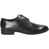 Obuća Muškarci
 Derby cipele Soldini 20407 S Crna