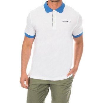 Odjeća Muškarci
 Polo majice kratkih rukava Hackett HMX1005D-WHITE-YONDER Multicolour