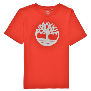 Odjeća Dječak
 Majice kratkih rukava Timberland LOLLA Red