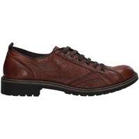 Obuća Muškarci
 Derby cipele IgI&CO 6108311 Smeđa