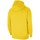 Odjeća Muškarci
 Sportske majice Nike Team Park 20 Hoodie žuta