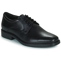 Obuća Muškarci
 Derby cipele Geox BRANDOLF Crna