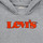 Odjeća Dječak
 Sportske majice Levi's GRAPHIC PULLOVER HOODIE Siva