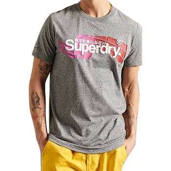Odjeća Muškarci
 Majice kratkih rukava Superdry 168643 Siva