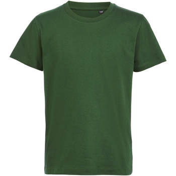 Odjeća Djeca Majice kratkih rukava Sols CAMISETA DE MANGA CORTA Zelena