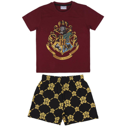 Odjeća Djeca Pidžame i spavaćice Harry Potter 2200006993 Red