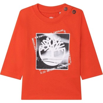 Odjeća Dječak
 Vjetrovke Timberland  Narančasta