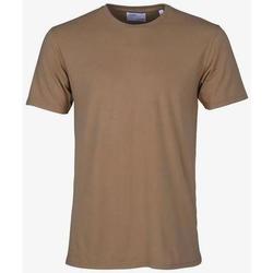 Odjeća Majice kratkih rukava Colorful Standard T-shirt  Sahara Camel marron