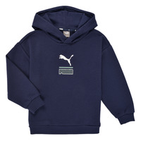 Odjeća Dječak
 Sportske majice Puma ALPHA HOODIE Blue