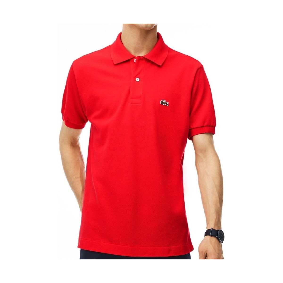 Odjeća Muškarci
 Majice kratkih rukava Lacoste L121200ZBG Crvena