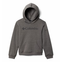 Odjeća Dječak
 Sportske majice Columbia COLUMBIA TREK HOODIE Siva