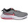 Obuća Djeca Multisport Nike Nike Air Zoom Arcadia Siva / Crvena