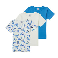 Odjeća Dječak
 Majice kratkih rukava Petit Bateau ADRIAN Multicolour