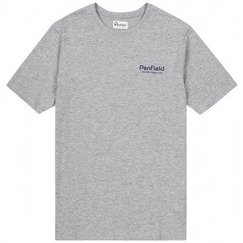 Odjeća Muškarci
 Majice kratkih rukava Penfield T-shirt  Hudson Script Siva