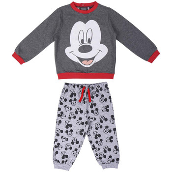 Odjeća Djeca Dvodijelne trenirke Disney 2200006163 Siva