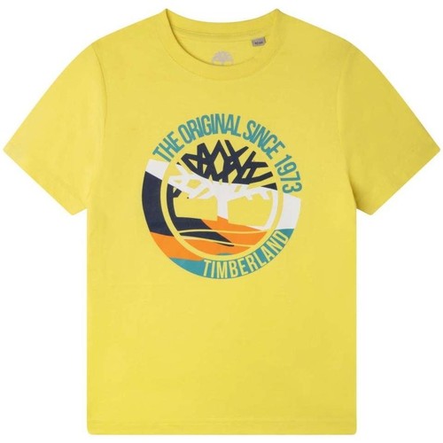 Odjeća Dječak
 Majice kratkih rukava Timberland  žuta