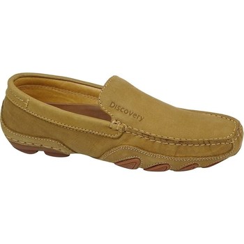 Obuća Muškarci
 Derby cipele & Oksfordice Discovery DSL1179011 Bež
