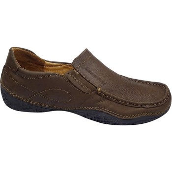 Obuća Muškarci
 Derby cipele & Oksfordice Discovery DSL1178805 Smeđa