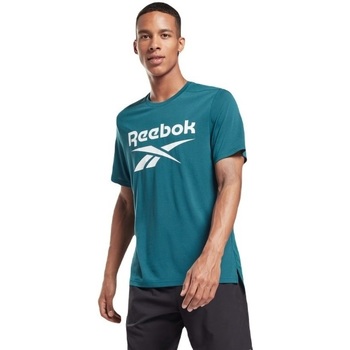 Odjeća Muškarci
 Majice s naramenicama i majice bez rukava Reebok Sport Workout Ready Supremium Graphic Zelena