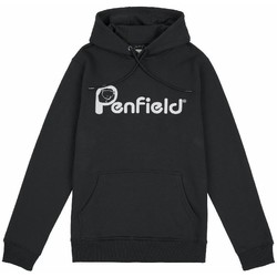 Odjeća Muškarci
 Sportske majice Penfield Sweat à capuche  bear chest print Siva