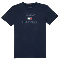 Odjeća Dječak
 Majice kratkih rukava Tommy Hilfiger KB0KB07794-SKY         