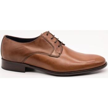 Obuća Muškarci
 Derby cipele & Oksfordice Donatelli  Smeđa