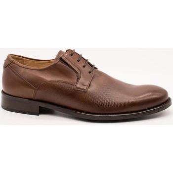 Obuća Muškarci
 Derby cipele & Oksfordice Donatelli  Smeđa
