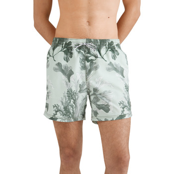 Odjeća Muškarci
 Bermude i kratke hlače O'neill Short de bain  Origin Oyster Zelena