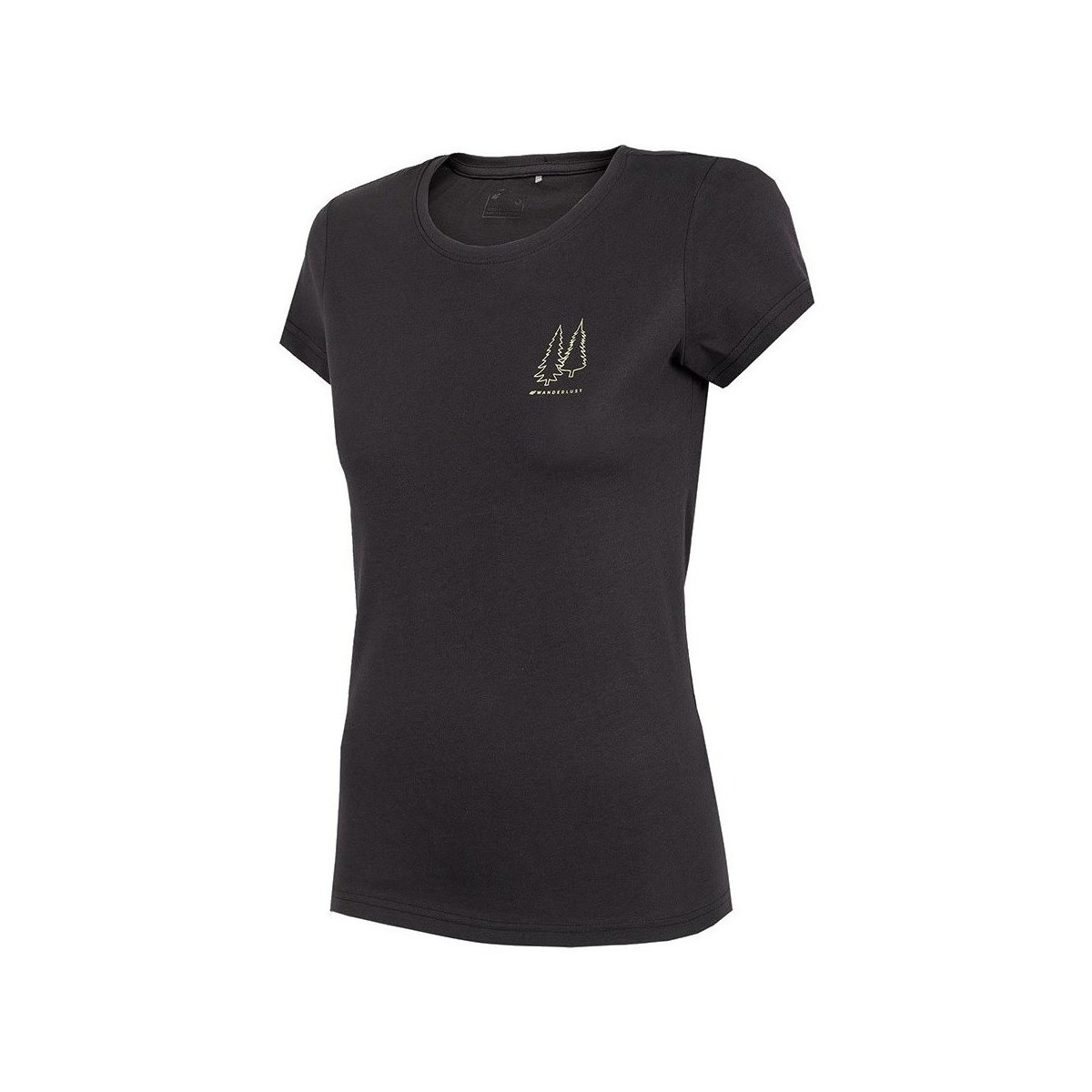 Odjeća Žene
 Majice kratkih rukava 4F TSD068 Crna