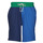 Odjeća Muškarci
 Bermude i kratke hlače Polo Ralph Lauren K223SC25-SHORTM18-ATHLETIC Višebojna
