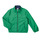 Odjeća Dječak
 Kratke jakne Polo Ralph Lauren 323869360001 Zelena