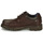Obuća Muškarci
 Derby cipele Fluchos 1320-YANKEE-BRANDY Smeđa