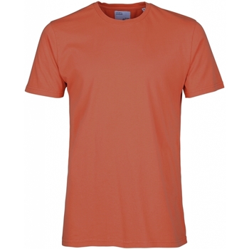 Odjeća Majice / Polo majice Colorful Standard T-shirt  Classic Organic dark amber Red