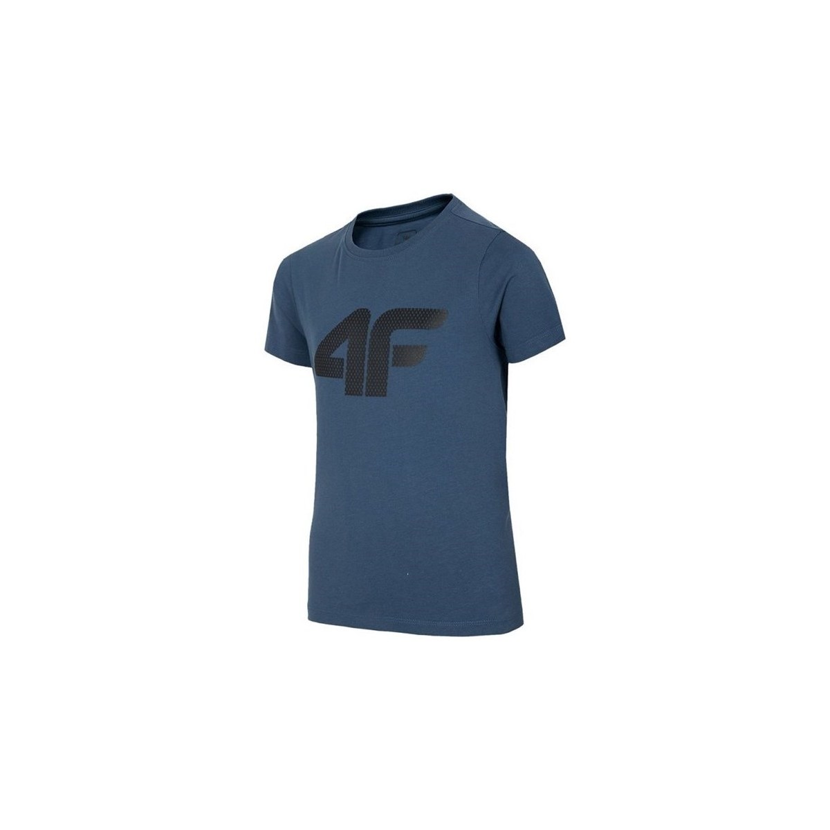 Odjeća Dječak
 Majice kratkih rukava 4F JTSM002         