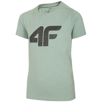 Odjeća Dječak
 Majice kratkih rukava 4F JTSM002 Zelena