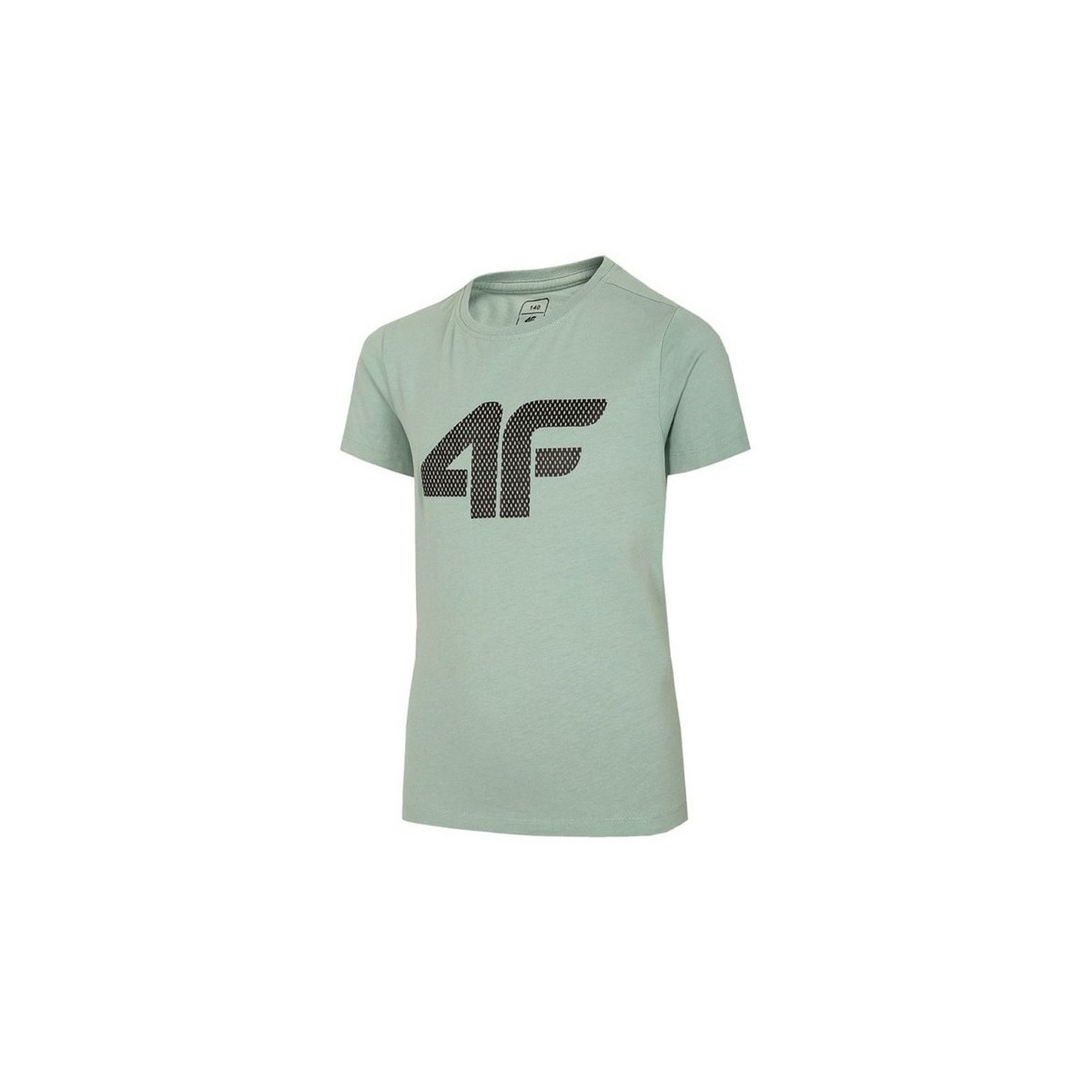 Odjeća Dječak
 Majice kratkih rukava 4F JTSM002 Zelena