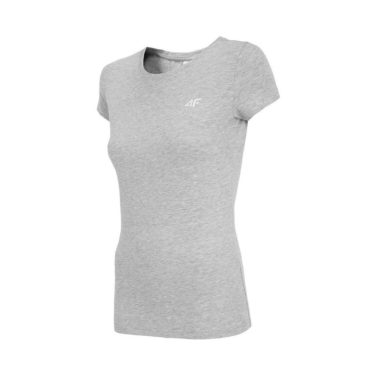 Odjeća Žene
 Majice kratkih rukava 4F TSD350 Siva